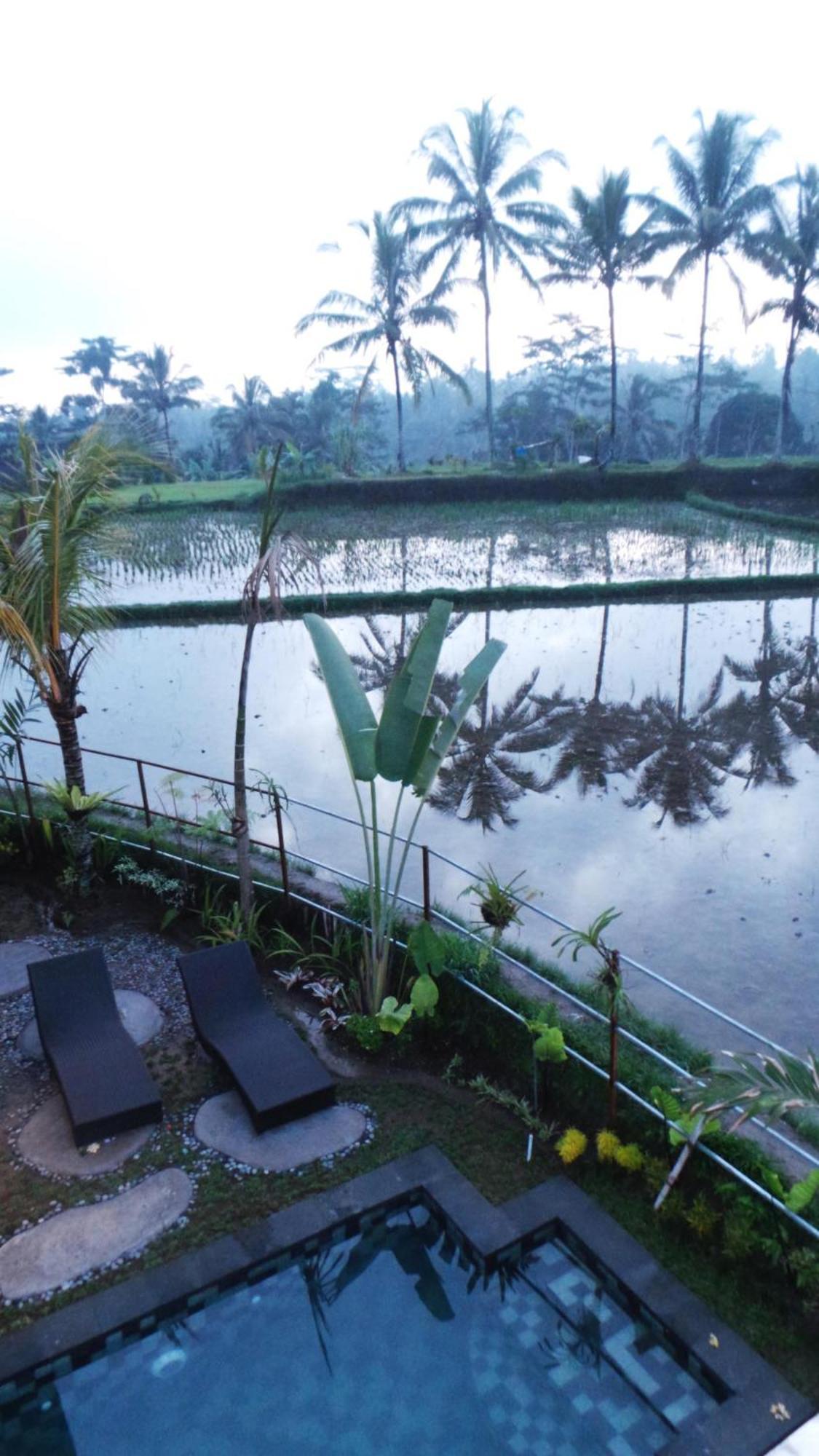 Villa Kemuning Tegallalang (Bali) Quarto foto